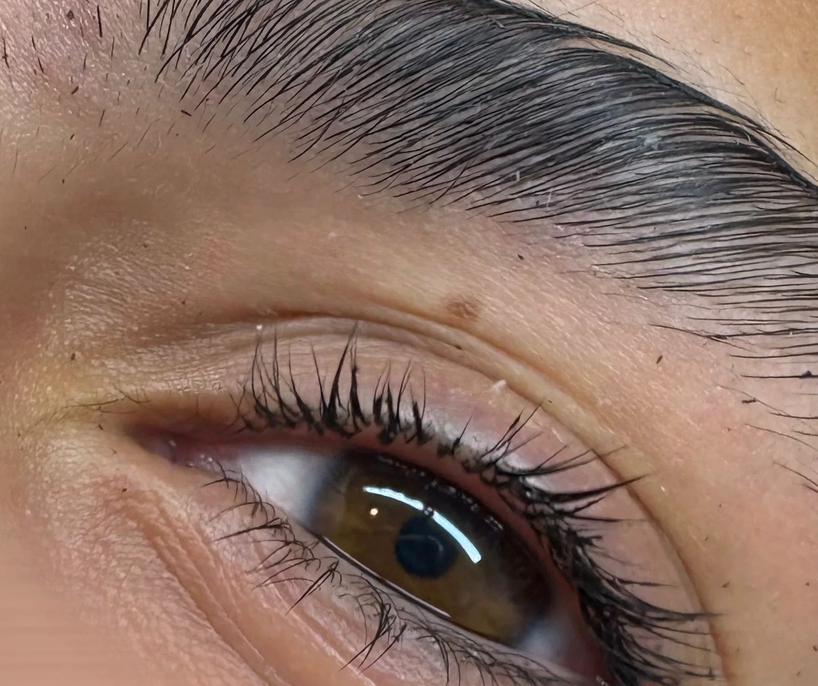 Résultat de rehaussement de cils en vue macro